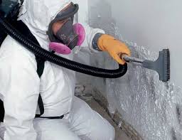 Environmental Consulting for Mold Prevention in Deland Southwest, FL